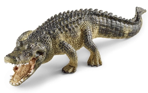 [66914727] CAIMAN