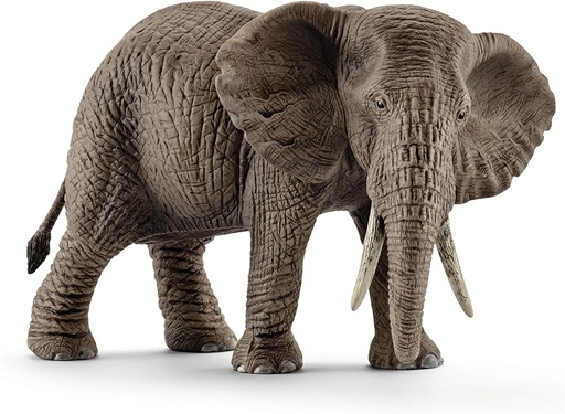 [66914761] ELEFANTE AFRICANO HEMBRA