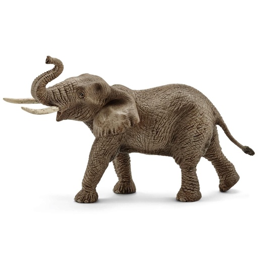 [66914762] ELEFANTE AFRICANO MACHO
