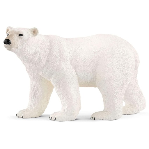 [66914800] OSO POLAR