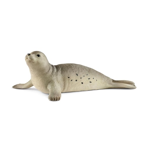 [66914801] FOCA