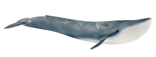 [66914806] BALLENA AZUL