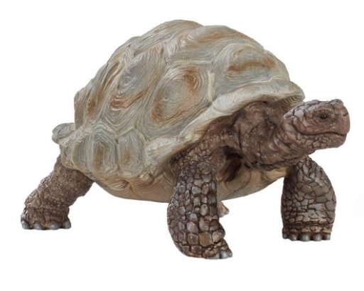[66914824] TORTUGA GIGANTE