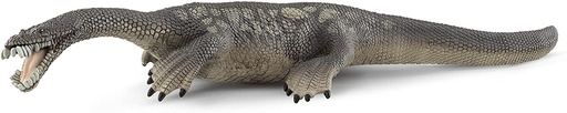 [66915031] NOTHOSAURUS