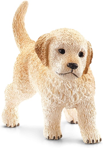 [66916396] CACHORRO GOLDEN RETRIEVER