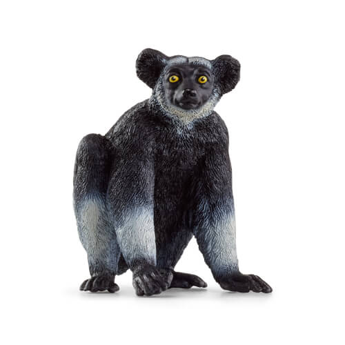 [66914877] INDRI