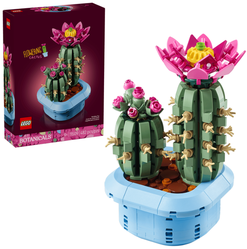 [22511509] CACTUS EN FLOR