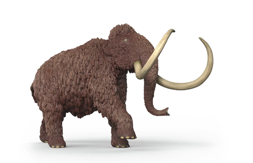 [66915053] MAMUT