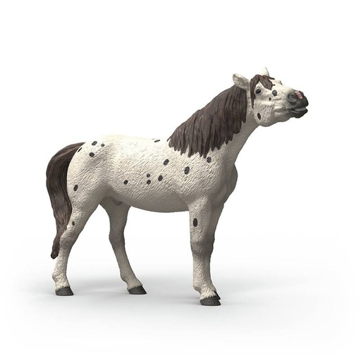 [66914916] CABALLO KNABSTRUPPER