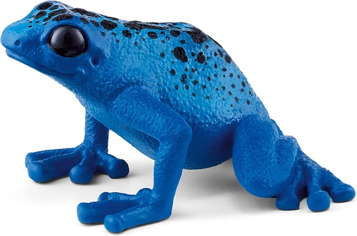 [66914864] RANA FLECHA AZUL