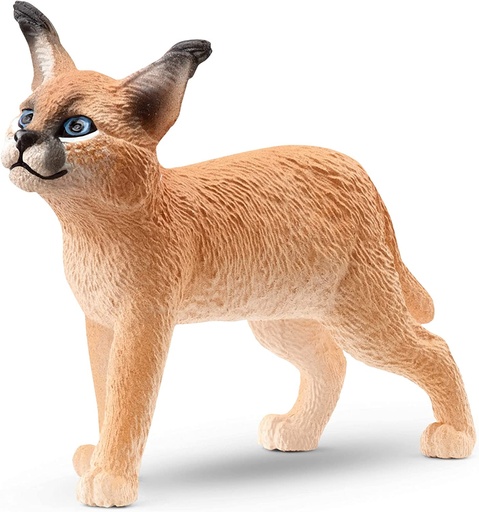 [66914868] CRIA DE CARACAL