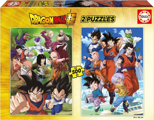[04019915] PUZ.2x500 DRAGON BALL
